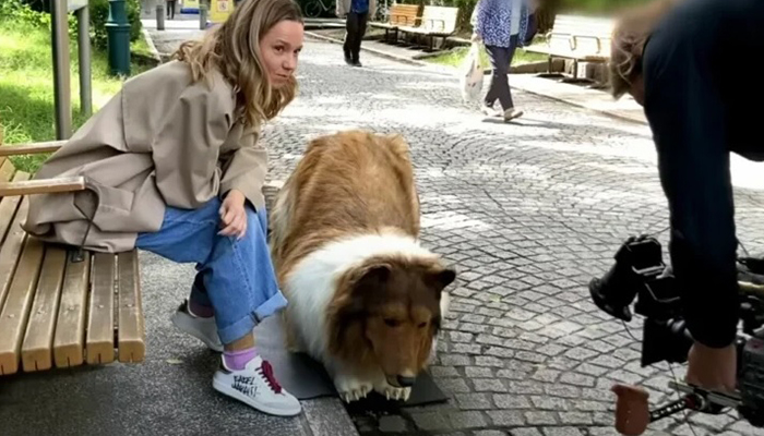 Potrošio gotovo 13.000 eura kako bi postao pas, evo kako sada izgleda (VIDEO)