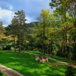 jajce-online_