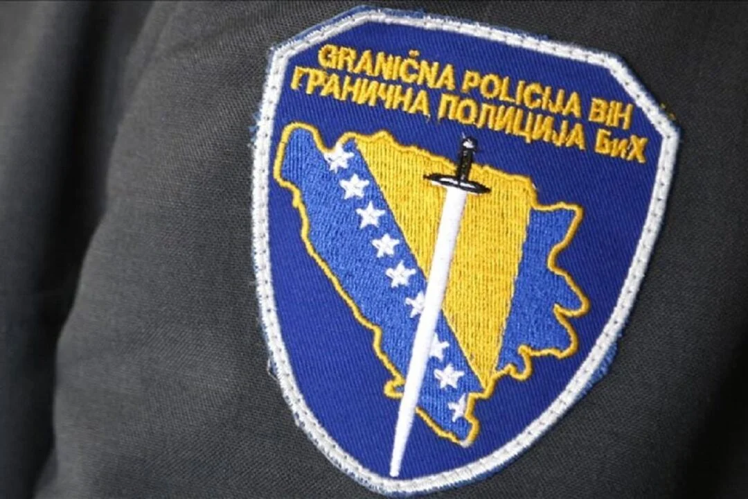 jajce-online_Automatska skica
