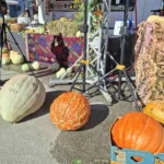 jajce-online_Milanko Stanojević uzgojio tikvu tešku 57,9 kilograma