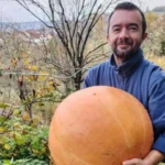 jajce-online_Šipovljanin uzgojio tikvu tešku 27 kilograma
