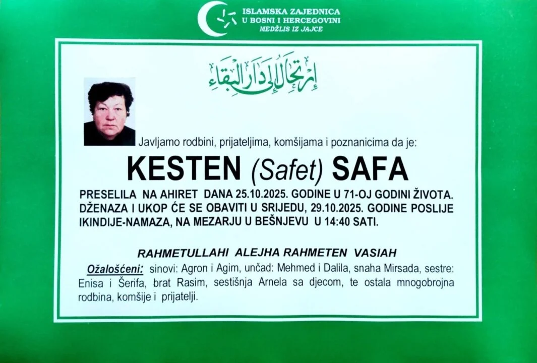 jajce-online_Automatska skica