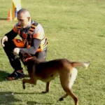jajce-online_Rescue Paws: Novi heroji u spašavanju ljudi