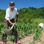 jajce-online_Važna obavijest za poljoprivredne proizvođače općine Jajce
