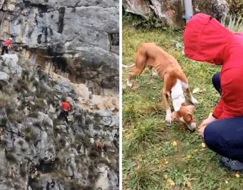jajce-online_Spektakularna akcija spašavanja psa na strmoj litici kod Livna