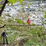 jajce-online_Automatska skica