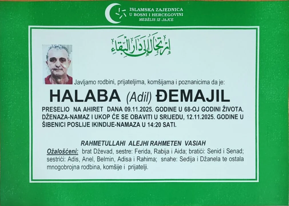 jajce-online_Automatska skica