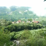 jajce-online_Martin Brod, selo penzionera i dva đaka, bez prodavnice, banke, pošte…