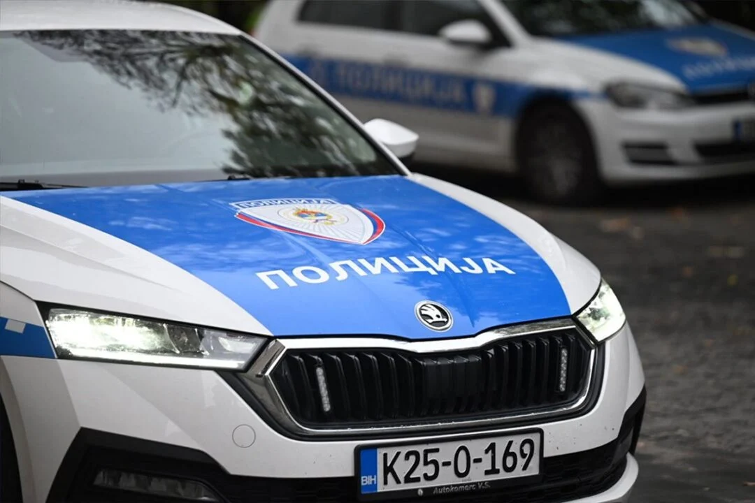 jajce-online_Automatska skica