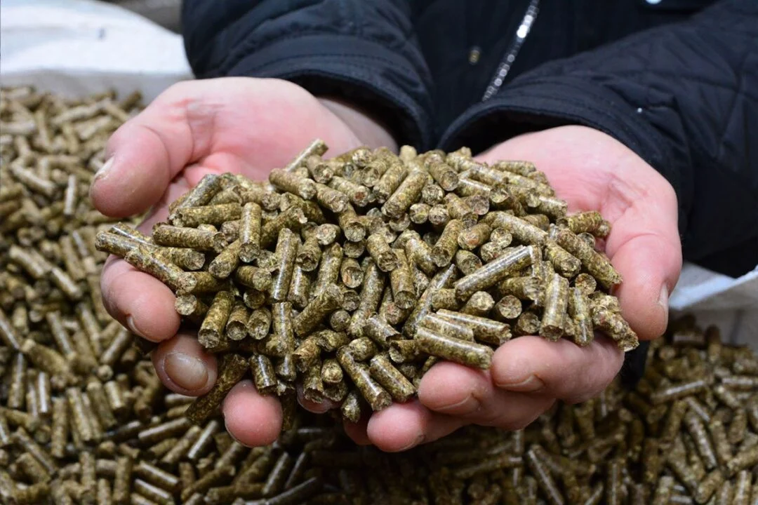 jajce-online_Zašto je poskupio pelet: “Jedan proizvođač prodao više od 6.000 peći”