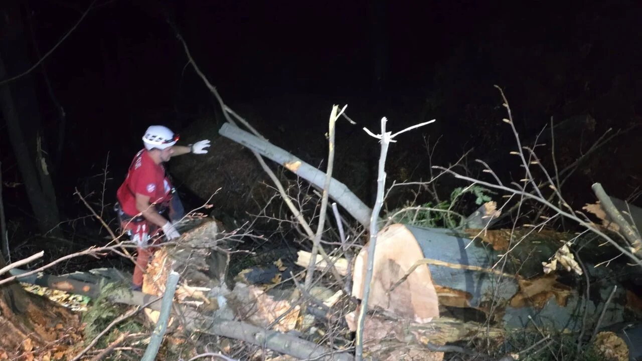 jajce-online_Mladić poginuo tokom radova u šumi