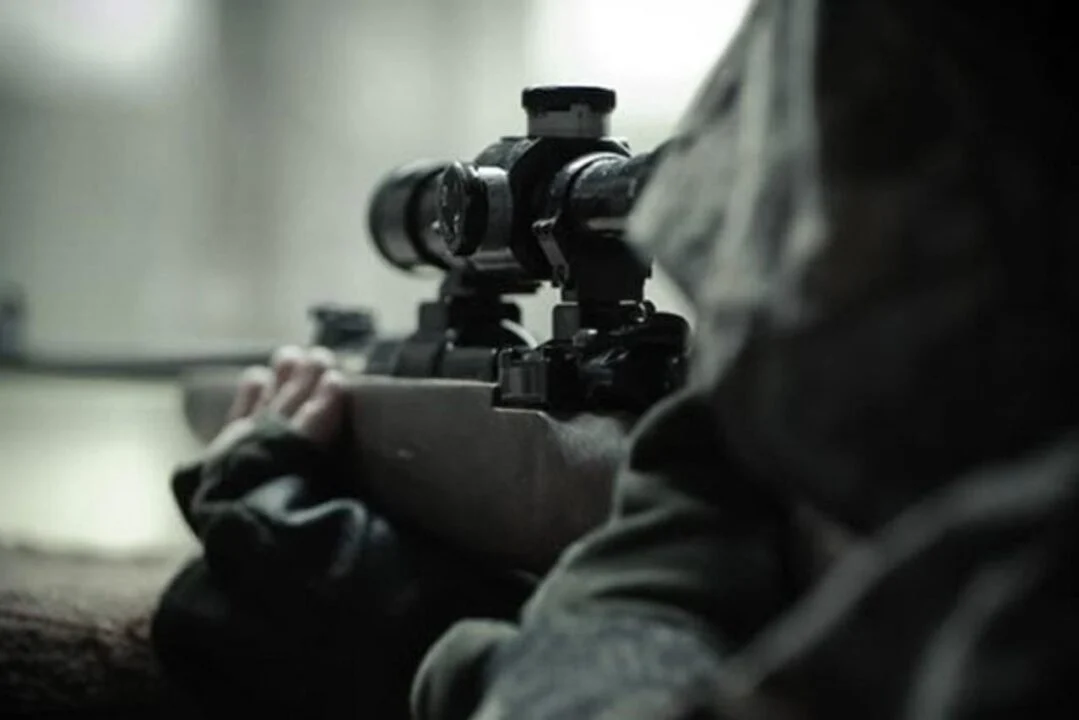 jajce-online_Automatska skica