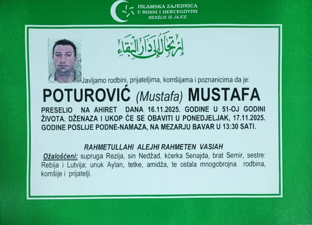 jajce-online_Automatska skica