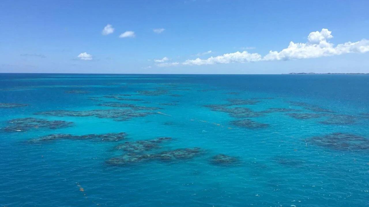jajce-online_Sargaško more: Jedino na svijetu bez obale i plaža