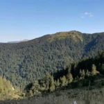 jajce-online_Grad Konjic prvi u BiH i regiji pošumljava uz pomoć drona