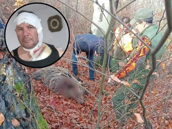 jajce-online_Medvjed napao lovca, on ga ustrijelio u samoodbrani