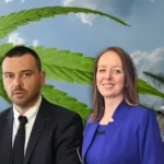 jajce-online_Automatska skica