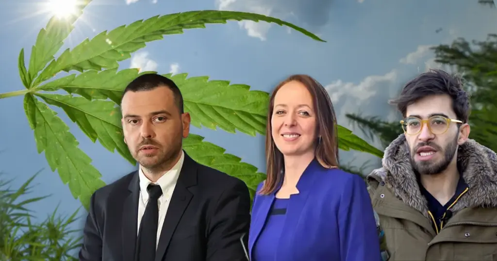 jajce-online_Automatska skica