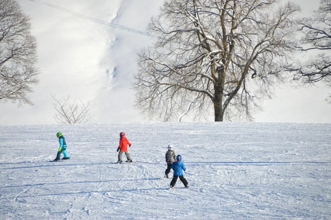 jajce-online_Ovo je jedno od najjeftinijih skijališta u Srbiji: Besplatna ski škola za djecu