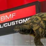 jajce-online_Kod putnika iz BiH našli grčku kornjaču