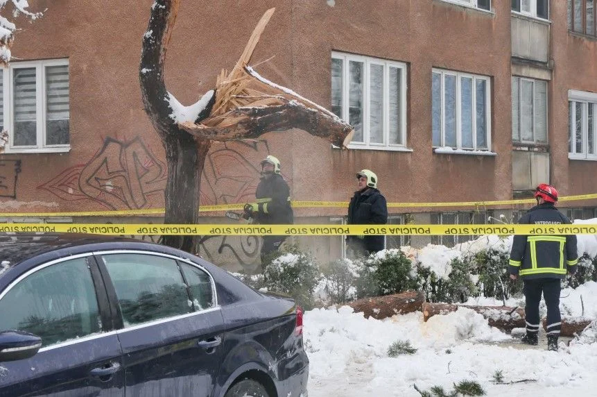 jajce-online_Automatska skica