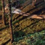 jajce-online_Alarmantno stanje u Hercegovini: Poplavljeni Žitomislići, izlila se Buna, raste i vodostaj Neretve