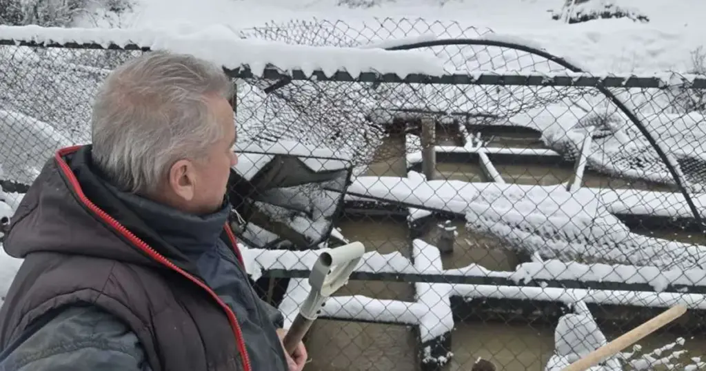 jajce-online_Porodica Delić u poplavama izgubila ribnjak koji su gradili godinama